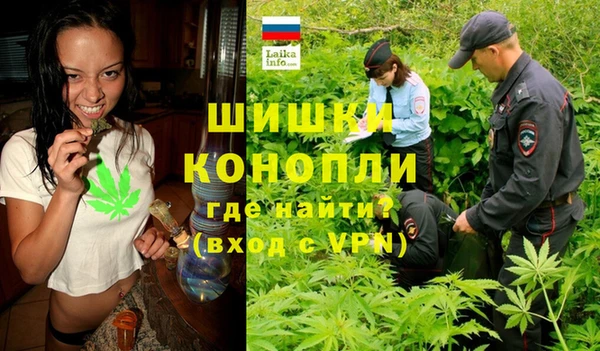 mdpv Медвежьегорск