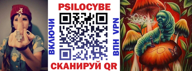 Псилоцибиновые грибы Cubensis купить наркоту Макаров